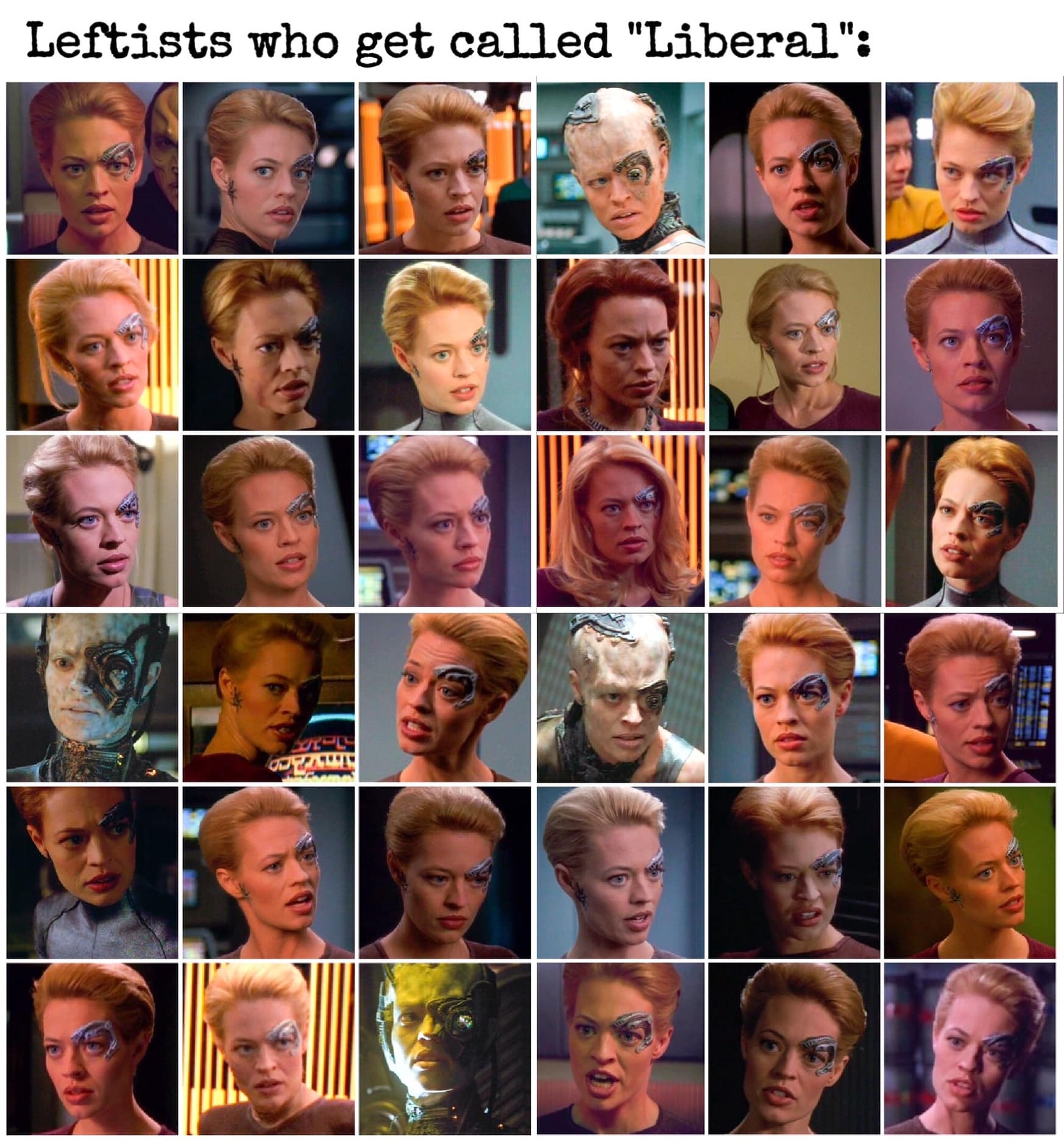 The meme is a humorous image of the character Seven of Nine from the Star Trek: Voyager TV show. The image shows Seven of Nine with a "I'm with stupid" sign on her forehead, referencing the classic 80s "I'm with stupid" t-shirt. The text at the top of the image reads "Leftists who get called 'Liberal'".